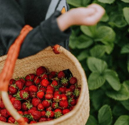  Agricultural Wages in Scotland 