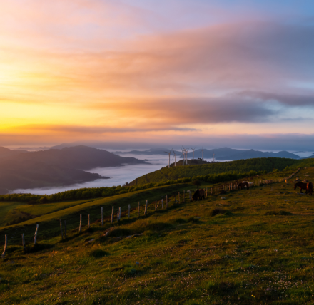  Land Reform (Scotland) Bill: What are your rights when your landlord wants to grant options for renewable energy development? 